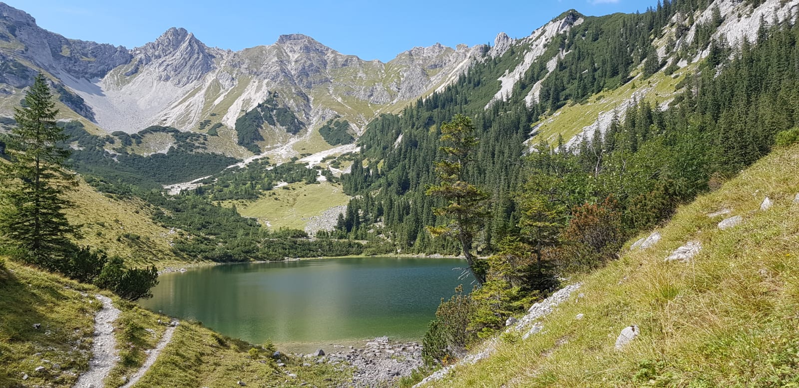 Soiernseen