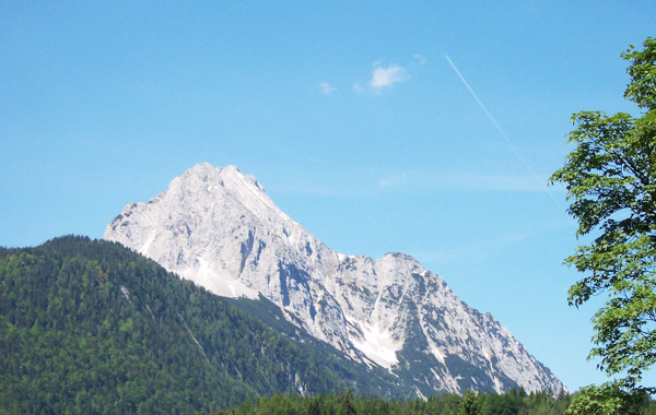 Sommerimpressionen 4
